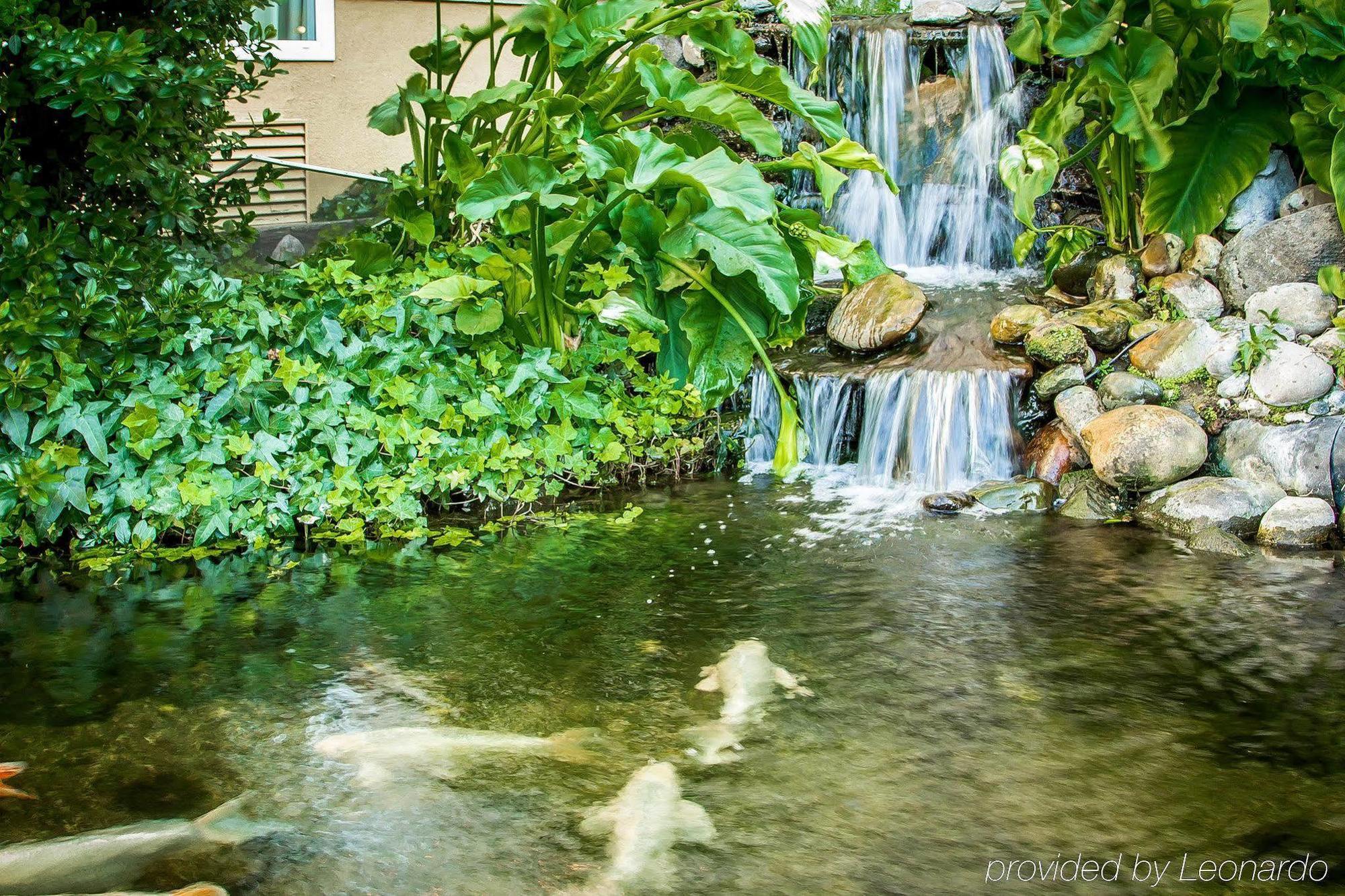 Comfort Inn Modesto Eksteriør bilde